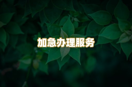 加急办理服务